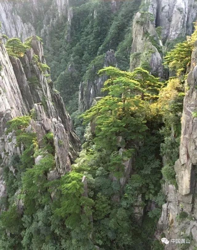 《高效环保，脱硫脱硝设备拆除方案实例》