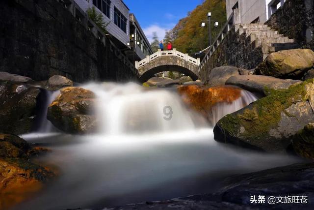 第十一届广东省鲁迅文学艺术奖颁奖大会举行