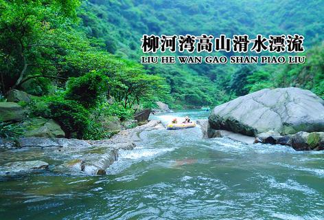 茶氨酸对人体有什么好处？游戏画面